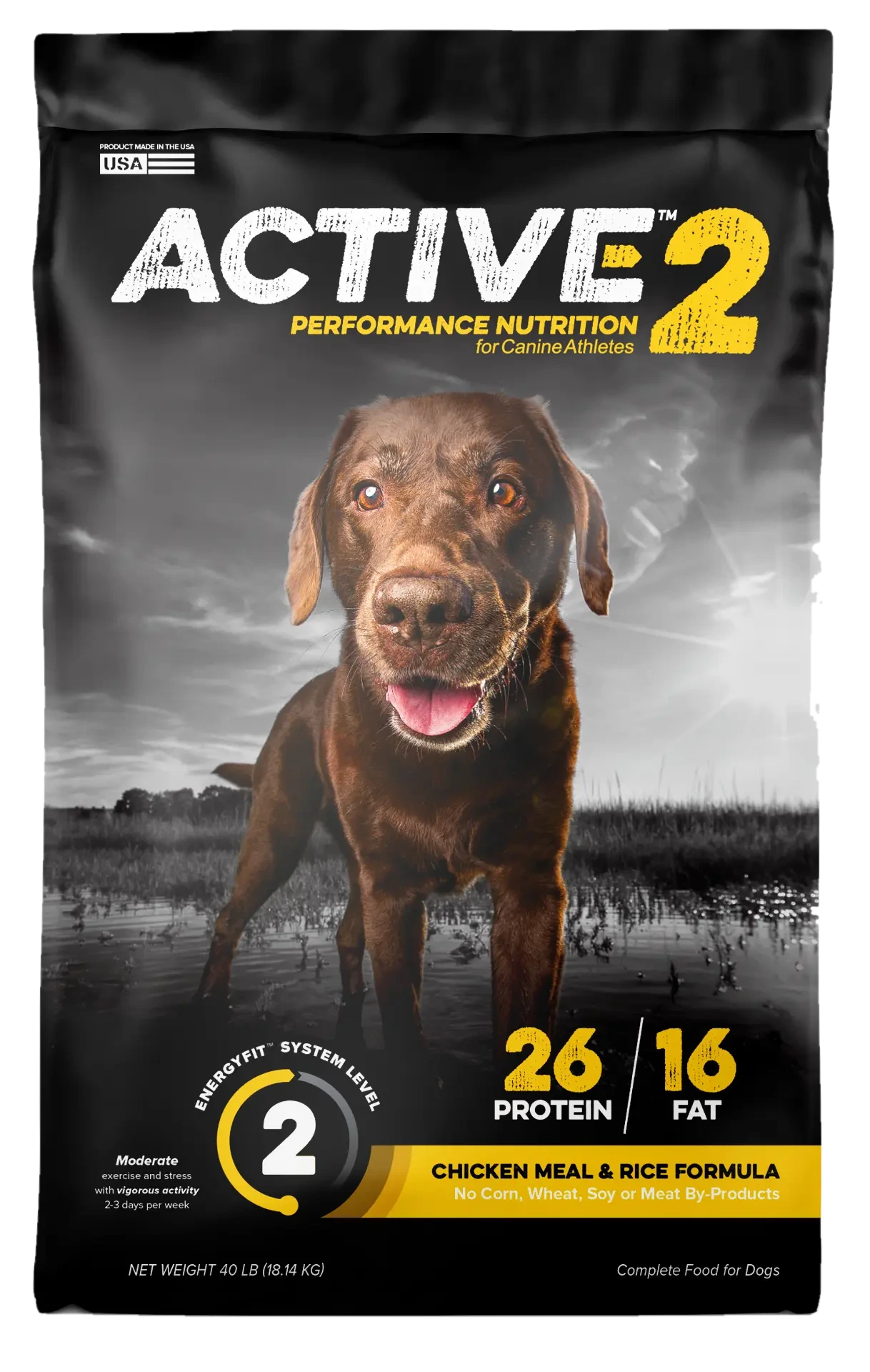 ACTIVE 2