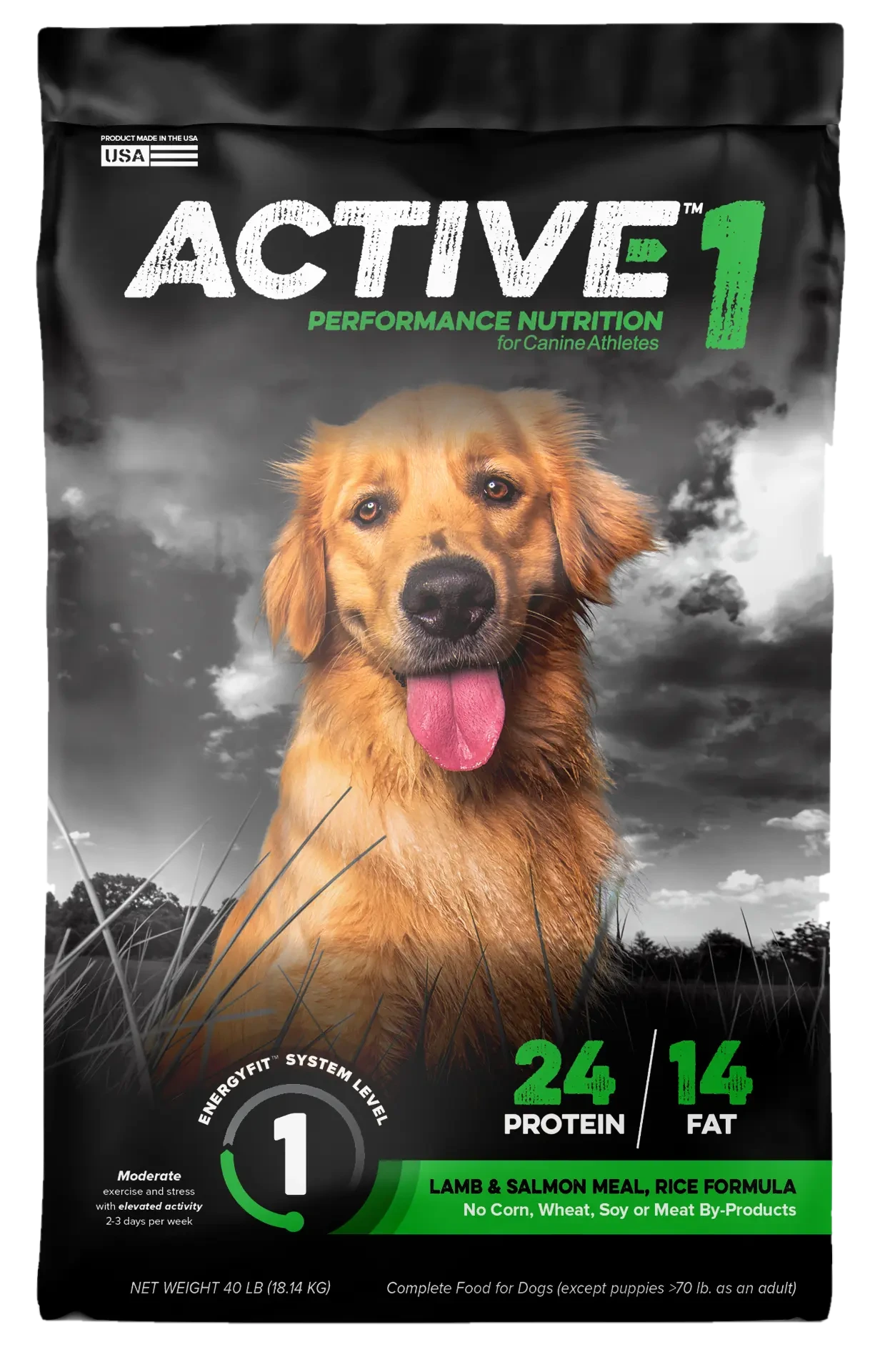 ACTIVE 1